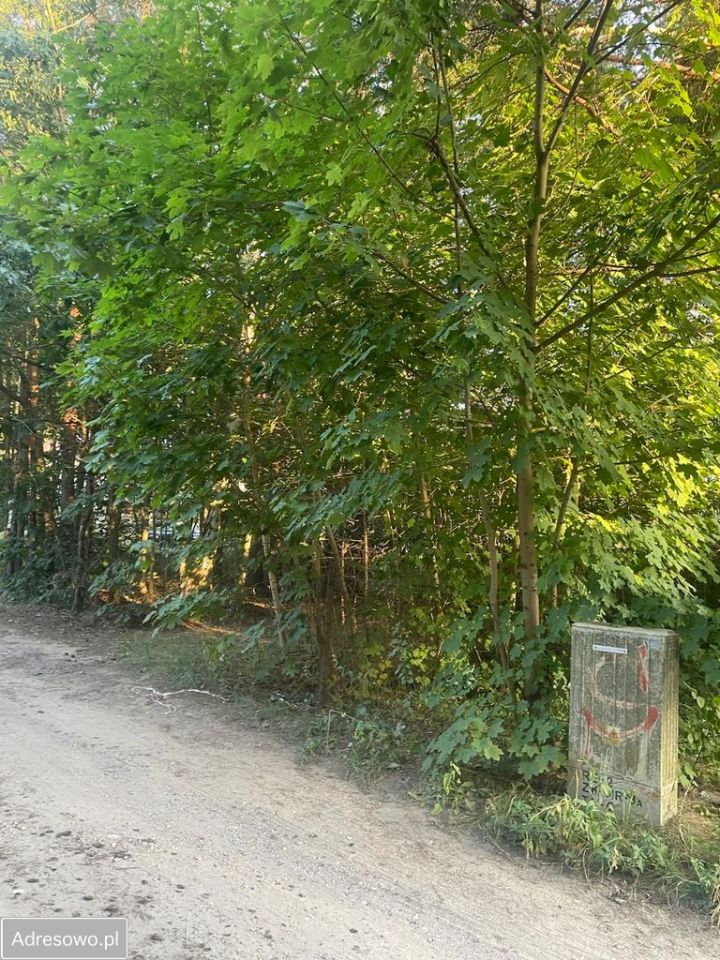 Działka budowlana Żarki-Letnisko, ul. Podleśna. Zdjęcie 1