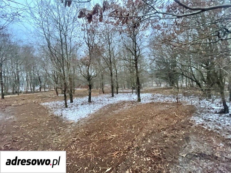 Działka inwestycyjna Domysłów. Zdjęcie 6