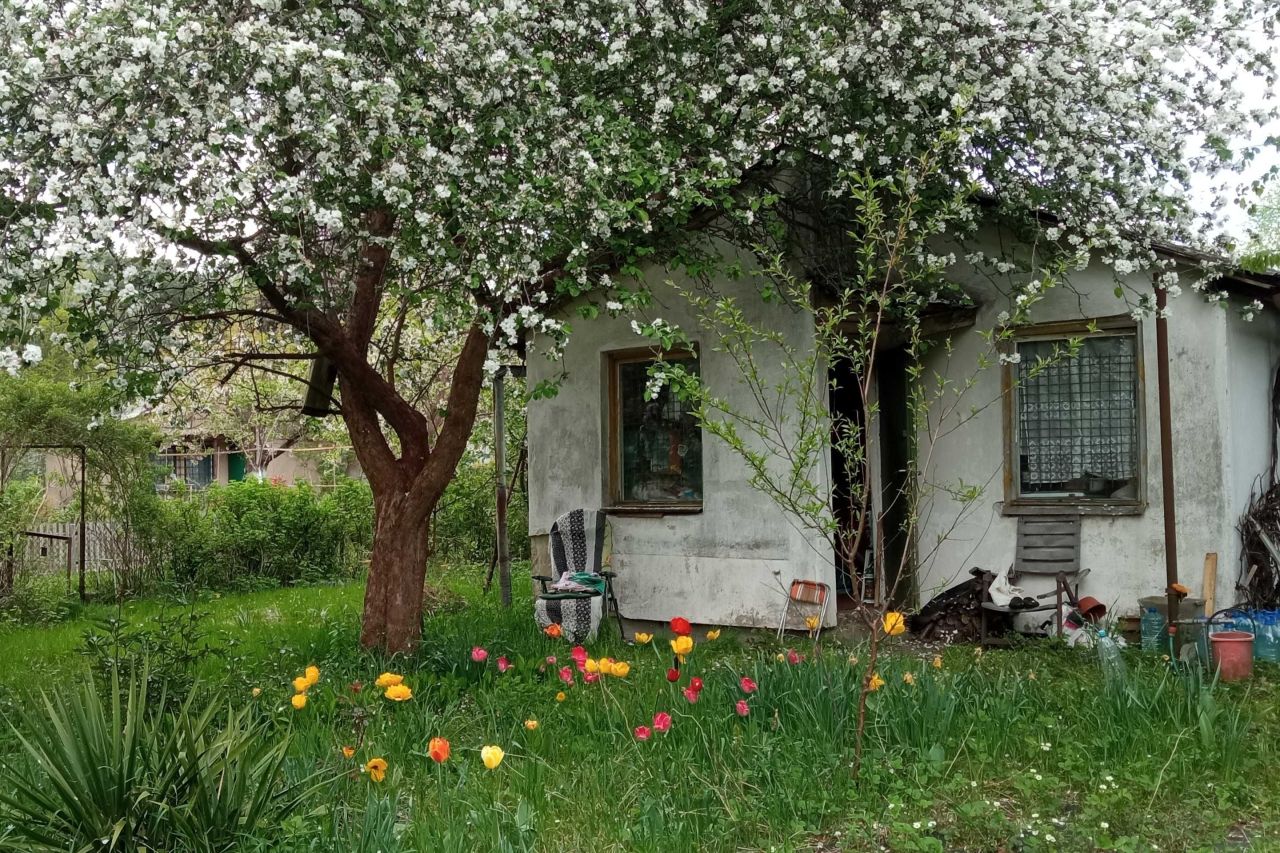 Działka rekreacyjna Zielona Góra Jędrzychów