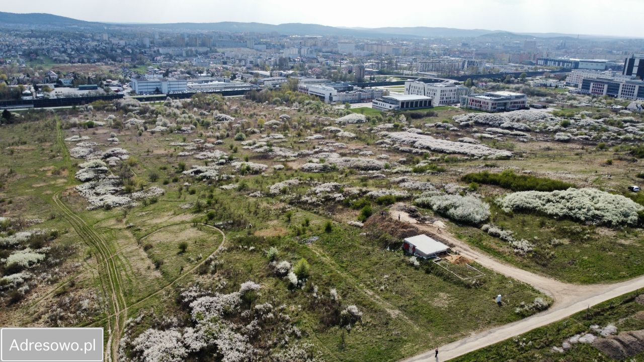 Działka budowlana Kielce Nowy Folwark, ul. Ciekocka. Zdjęcie 5