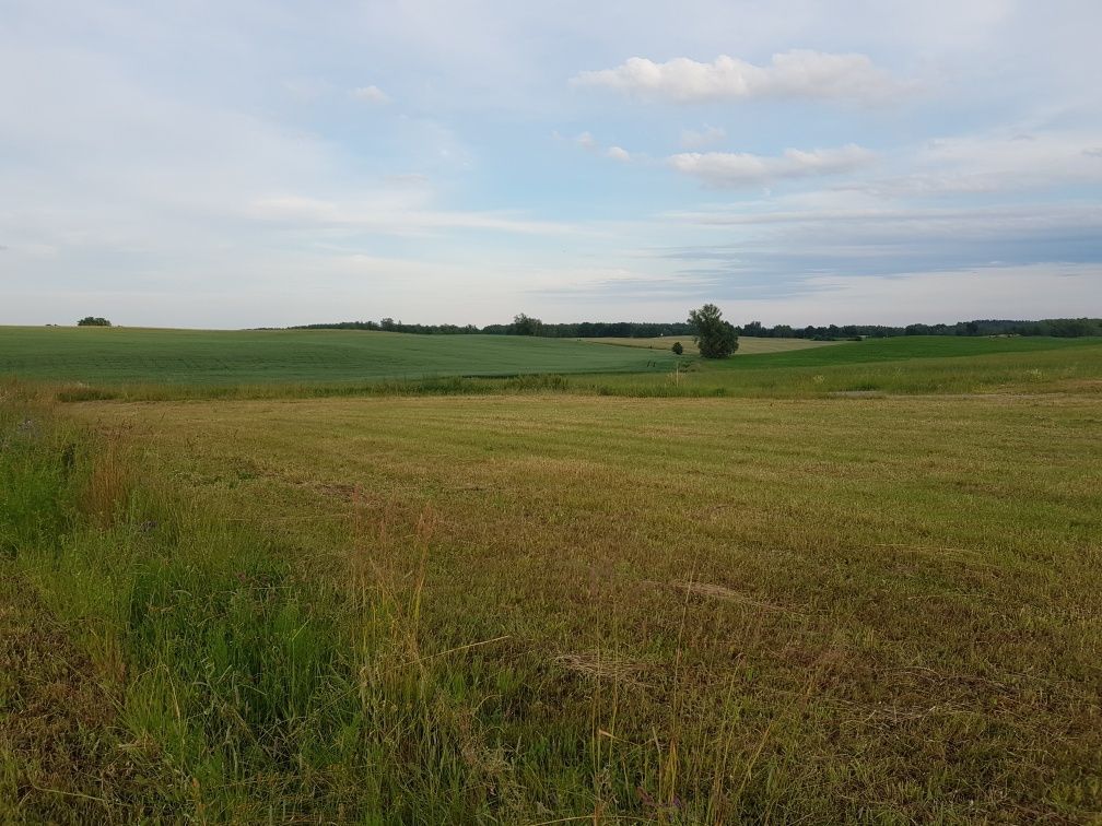 Działka budowlana Liniewko Kościerskie