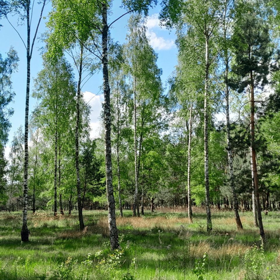 Działka budowlana Korfowe, ul. Spokojna Aleja. Zdjęcie 2