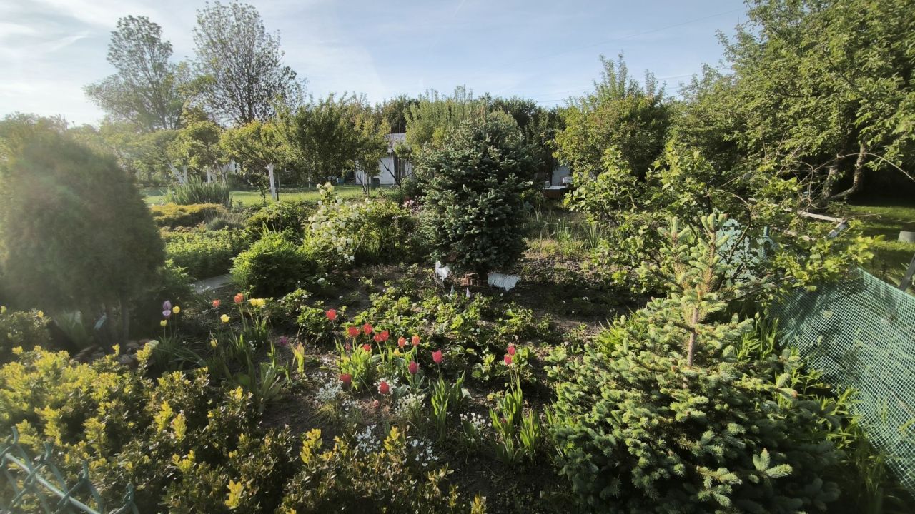 Działka rod Legnica. Zdjęcie 5