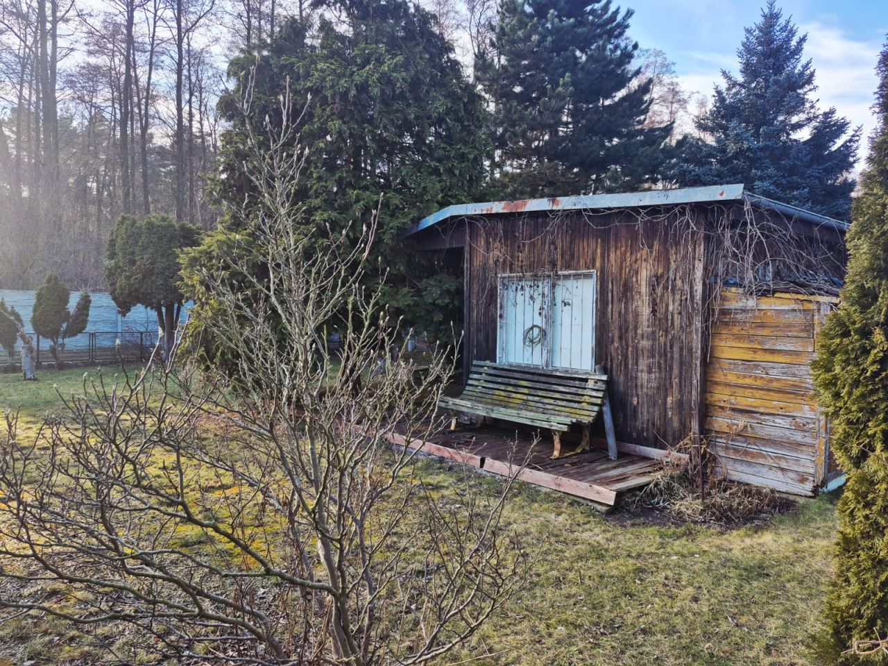 Działka rod Poznań Ławica, ul. Złotowska. Zdjęcie 3