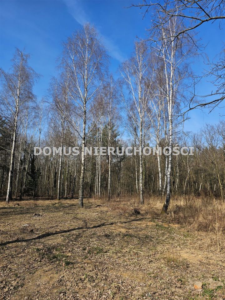 Działka Kopanka. Zdjęcie 5