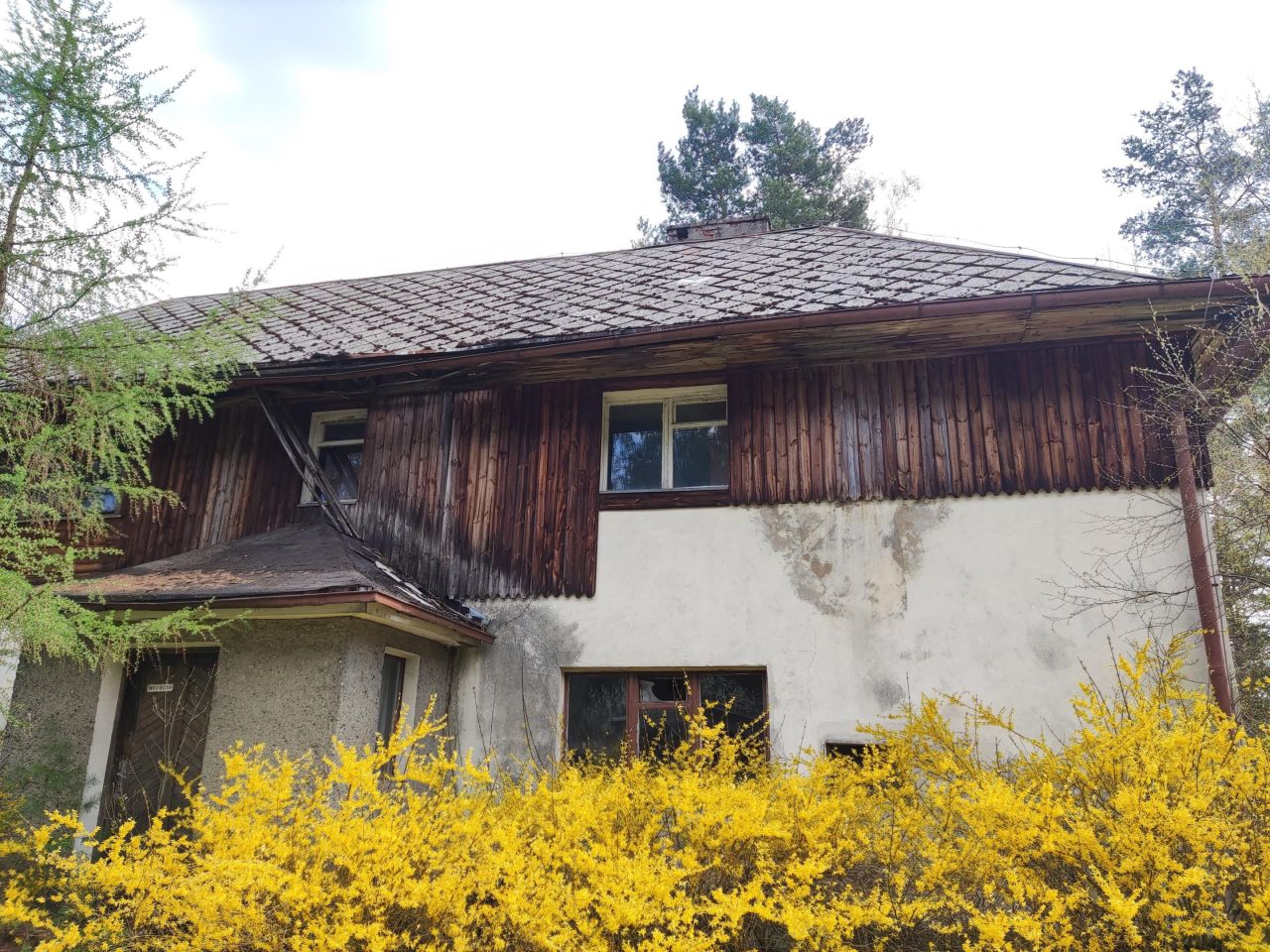 Działka siedliskowa Kamińsko. Zdjęcie 2