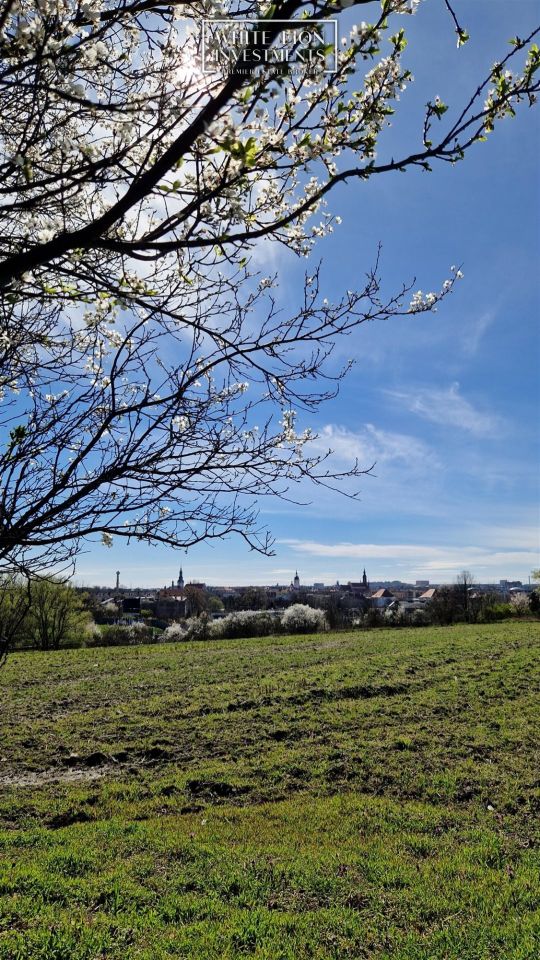 Działka inwestycyjna Kalisz Chmielnik, al. gen. Wł. Sikorskiego. Zdjęcie 6