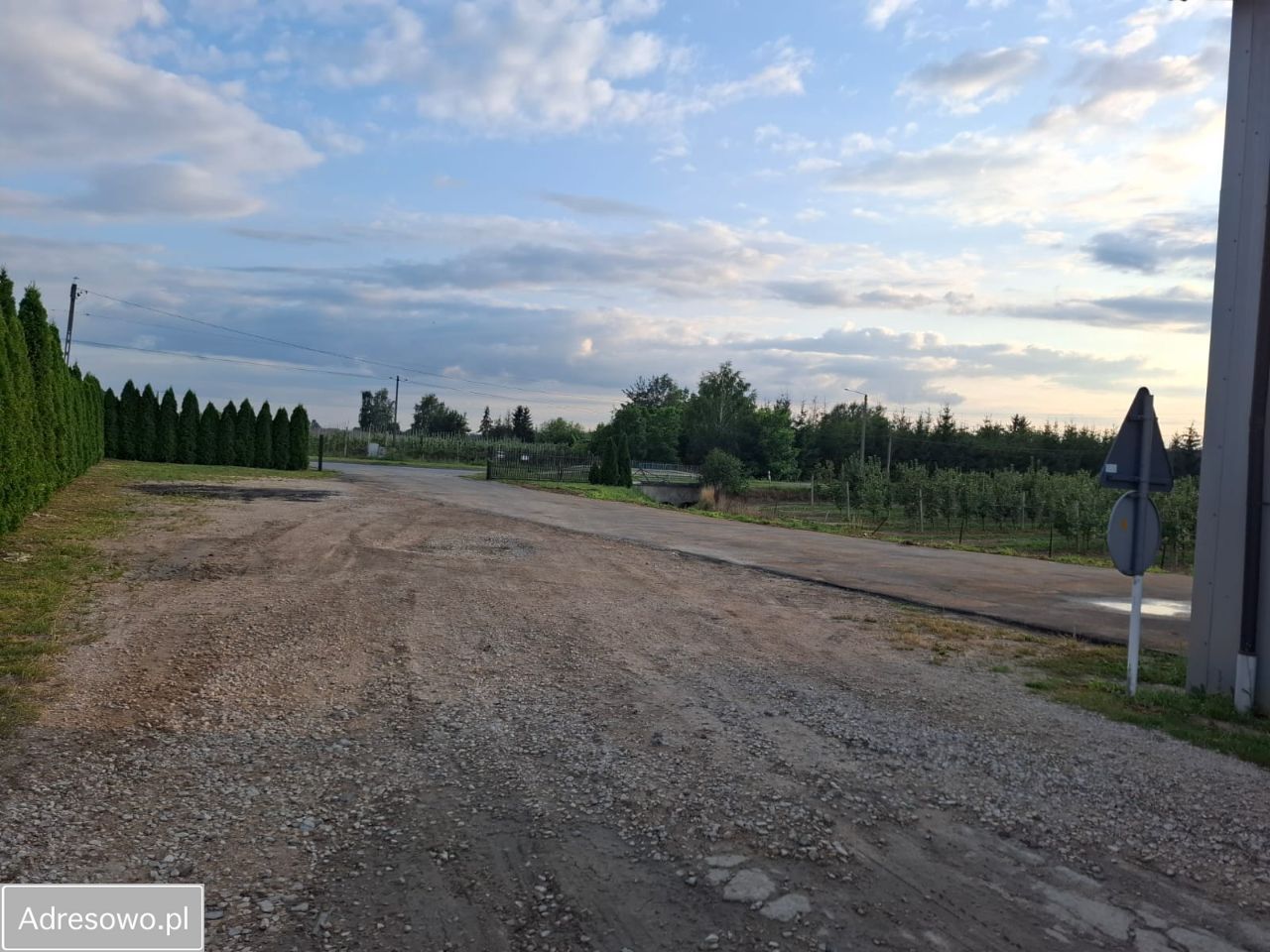 Hala/magazyn Jasieniec, ul. Warecka. Zdjęcie 2