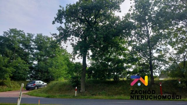 Działka rolno-budowlana Zabór, ul. Lipowa. Zdjęcie 5