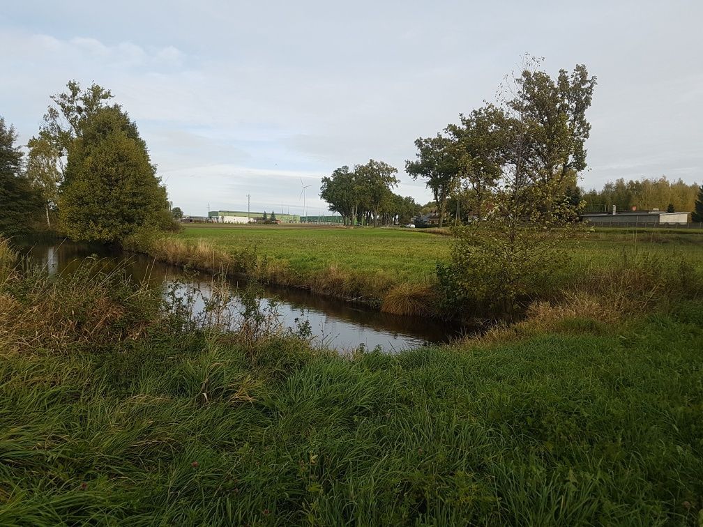 Działka rolna Runowo Krajeńskie. Zdjęcie 6