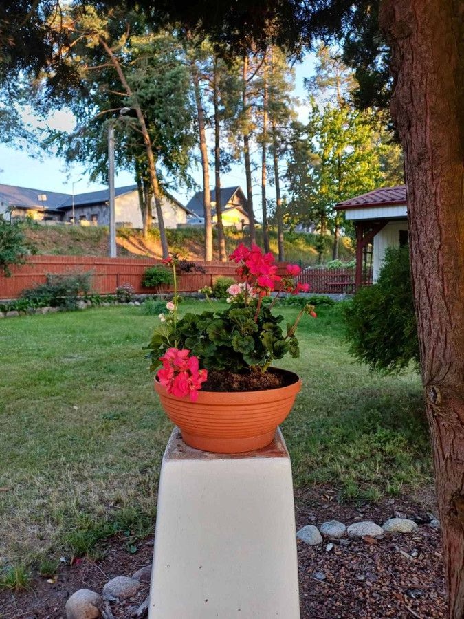 dom wolnostojący, 5 pokoi Gołubie. Zdjęcie 9