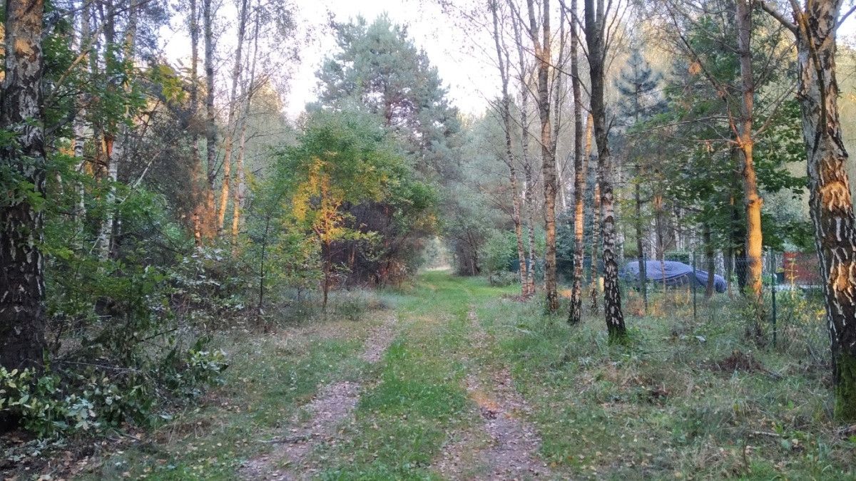 Działka rolno-budowlana Pelagia. Zdjęcie 5