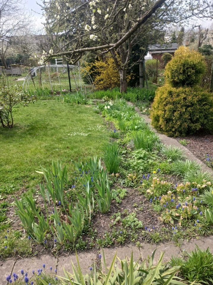 Działka rod Gliwice Szobiszowice. Zdjęcie 8