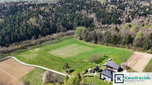 Działka budowlana Niepla. Zdjęcie 3