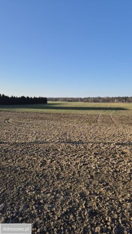Działka budowlana Jabłonna Pierwsza. Zdjęcie 1