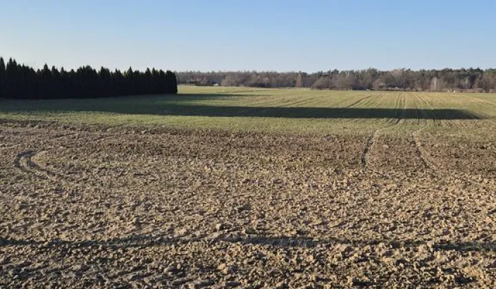 Działka budowlana Jabłonna Pierwsza