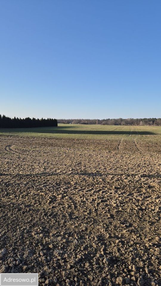 Działka budowlana Jabłonna Pierwsza. Zdjęcie 1