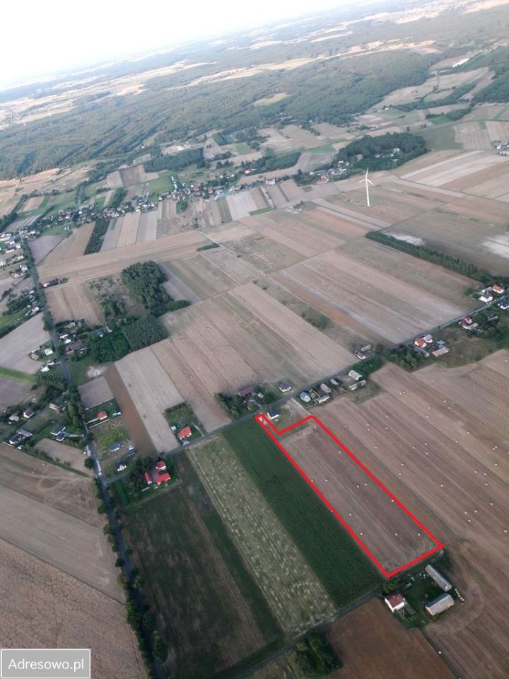 Działka budowlana Skrzynno. Zdjęcie 1