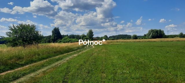 Działka rolna Dobrzyniewo Kościelne. Zdjęcie 1
