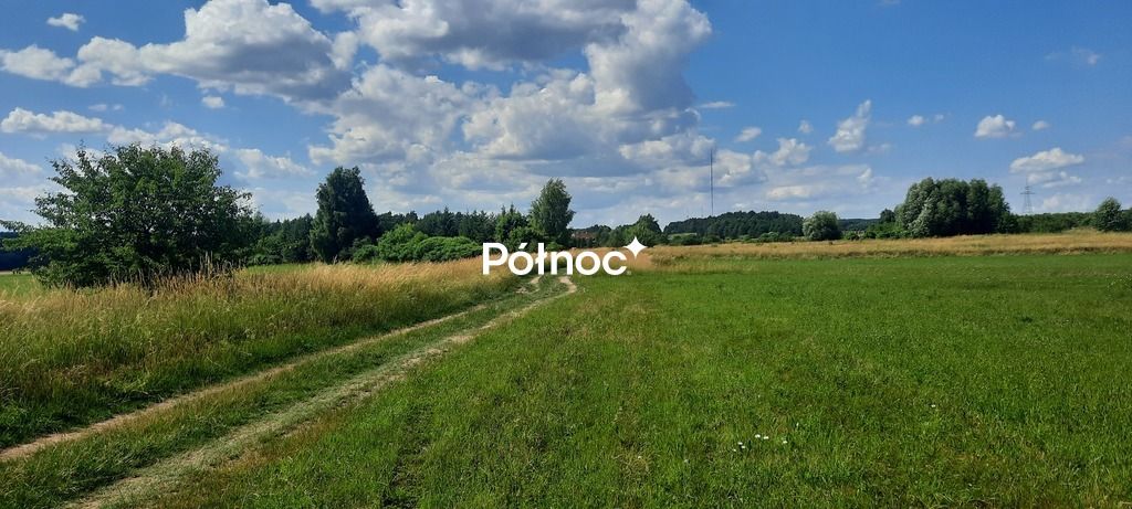 Działka rolna Dobrzyniewo Kościelne. Zdjęcie 1