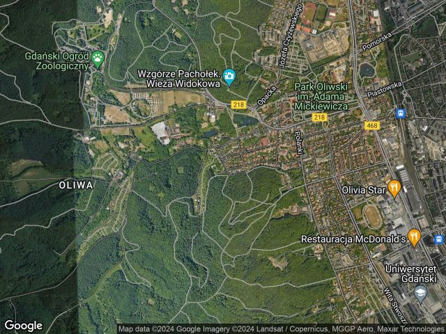 Działka rod Gdańsk Oliwa, ul. Świerkowa. Zdjęcie 1