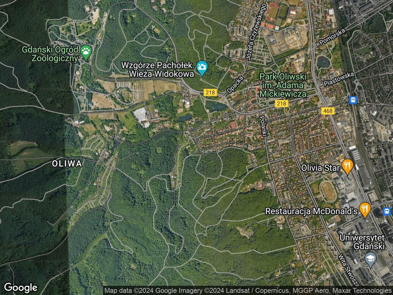 Działka rod Gdańsk Oliwa, ul. Świerkowa