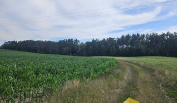 Działka leśna Pasieka