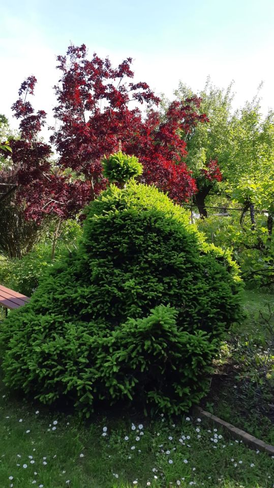 Działka rod Zielona Góra Centrum, ul. Andrzeja Struga. Zdjęcie 2