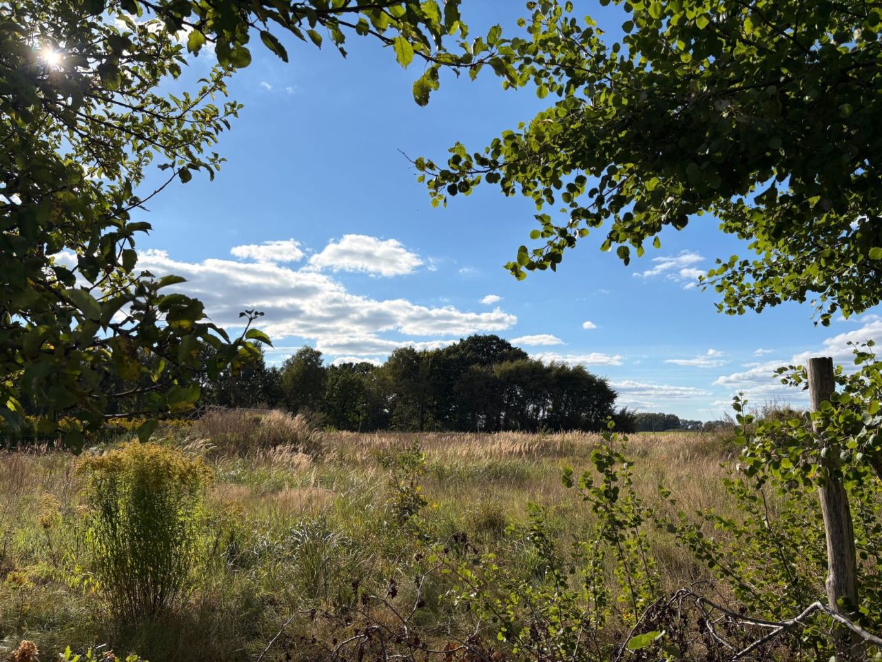 Działka budowlana Gardna