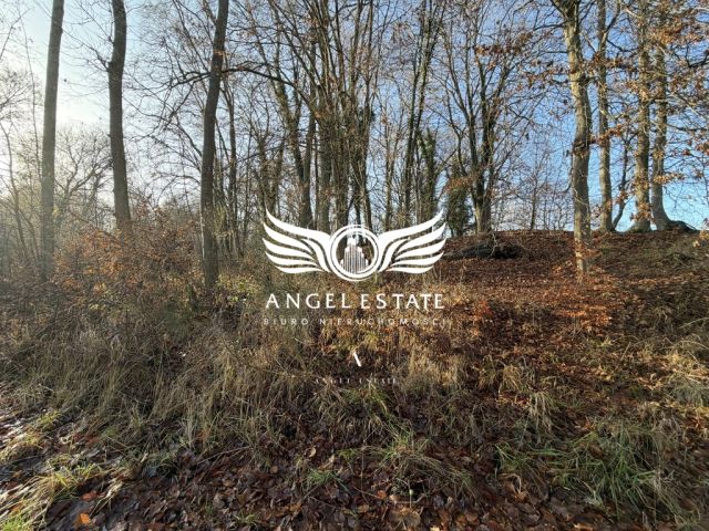 Działka Włodarka Chełm Gryficki. Zdjęcie 1