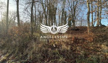 Działka Włodarka Chełm Gryficki