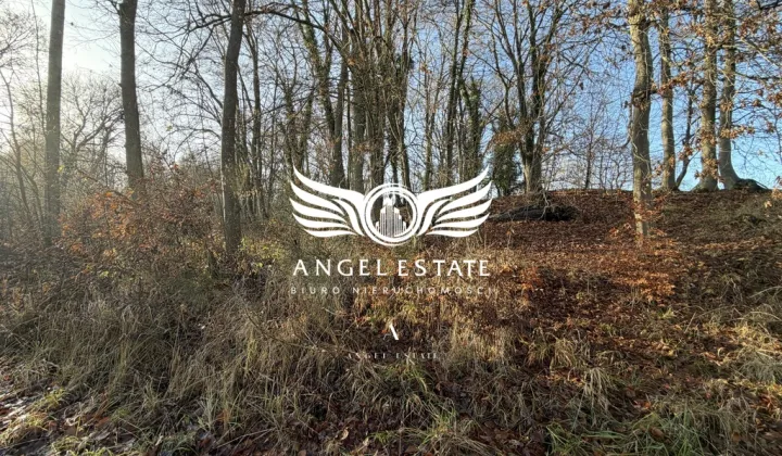 Działka Włodarka Chełm Gryficki