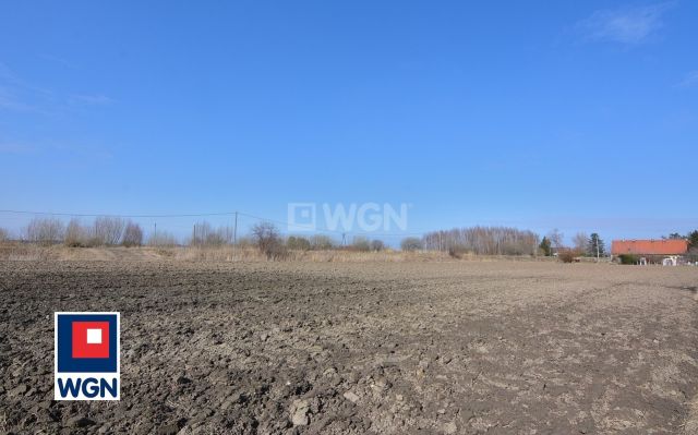 Działka rolna Nowakowo. Zdjęcie 6