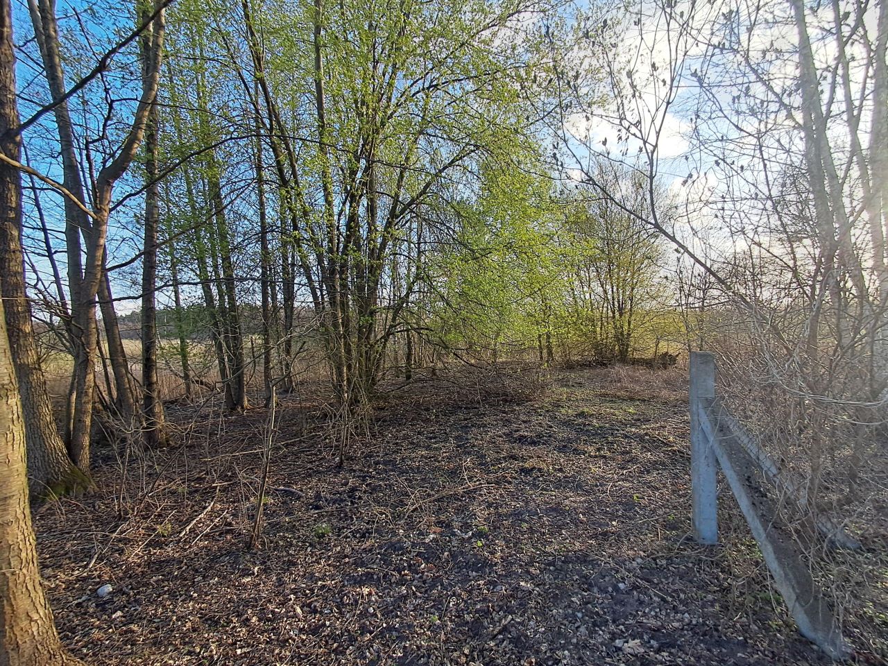 Działka rolno-budowlana Płock, Zofiówka. Zdjęcie 3