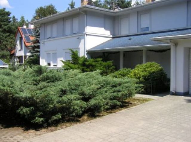 dom wolnostojący, 9 pokoi Izabelin. Zdjęcie 2