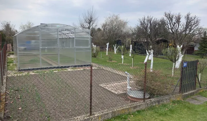 Działka rod Poręba, ul. Modrzewiowa