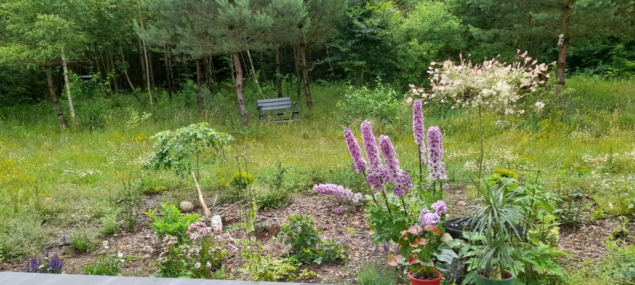 dom wolnostojący, 3 pokoje Sopieszyno, ul. Żurawia. Zdjęcie 6