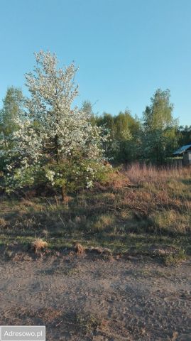 Działka rolno-budowlana Bogucin. Zdjęcie 1