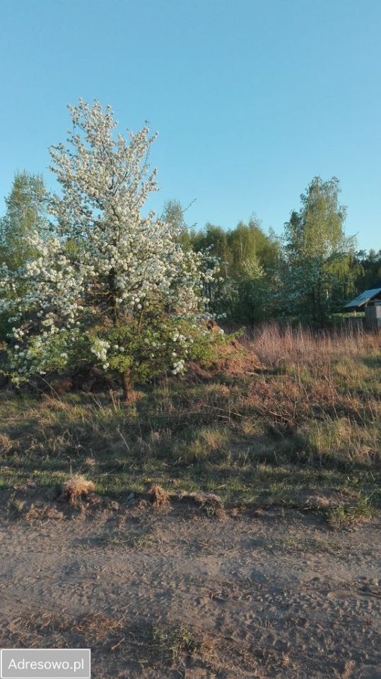 Działka rolno-budowlana Bogucin