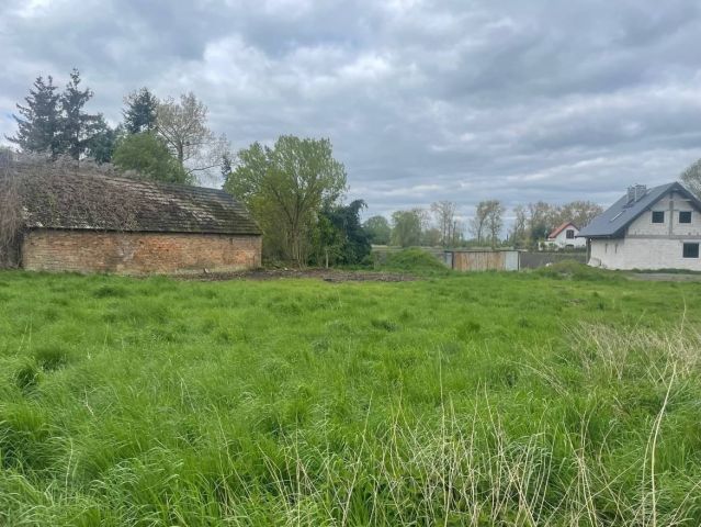 Działka budowlana Okunica. Zdjęcie 1