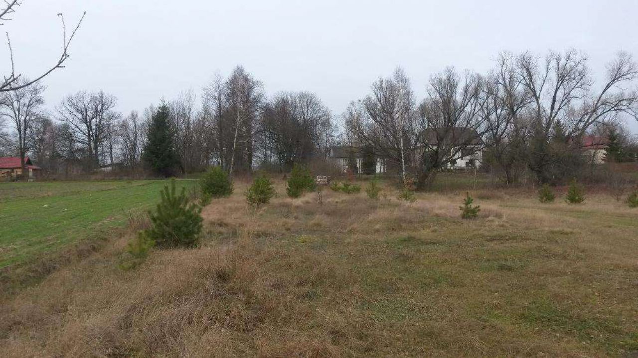 Działka budowlana Emilianówka. Zdjęcie 5