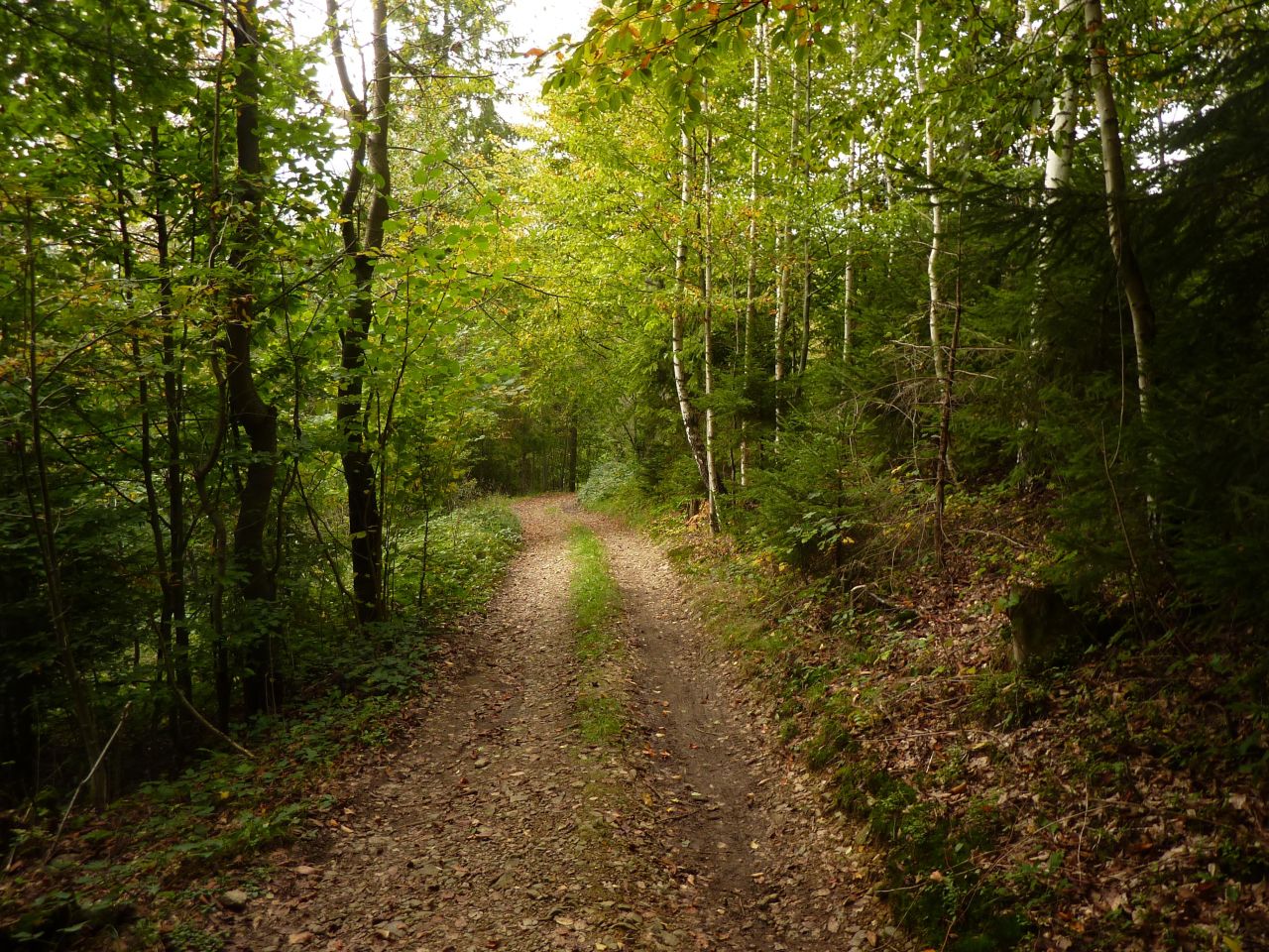 Działka rolna Pewel Wielka Garleje. Zdjęcie 21