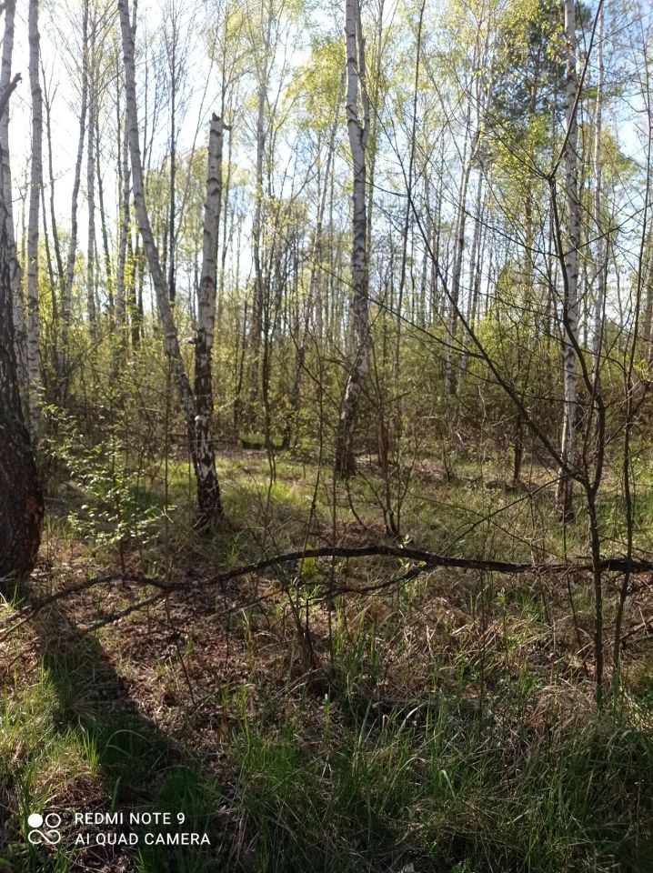 Działka budowlana Tomczyn. Zdjęcie 5