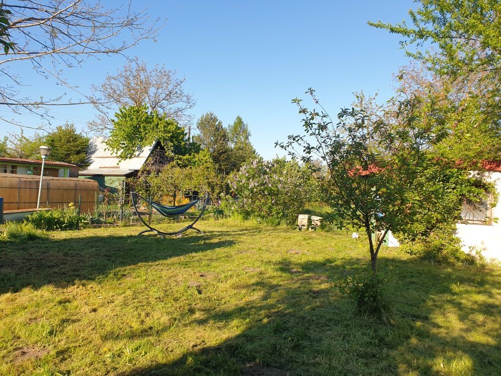 Działka rod Opole. Zdjęcie 5