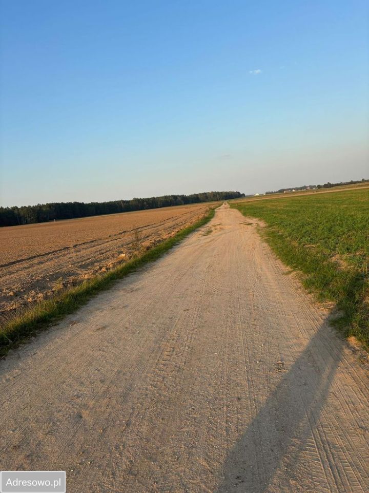 Działka budowlana Nowa Wieś Wschodnia. Zdjęcie 2