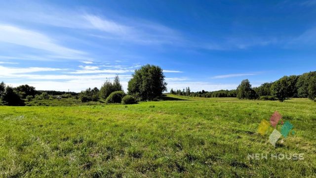 Działka Biskupiec. Zdjęcie 7