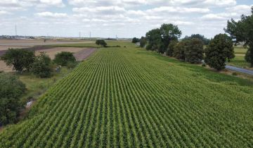 Działka inwestycyjna Turów