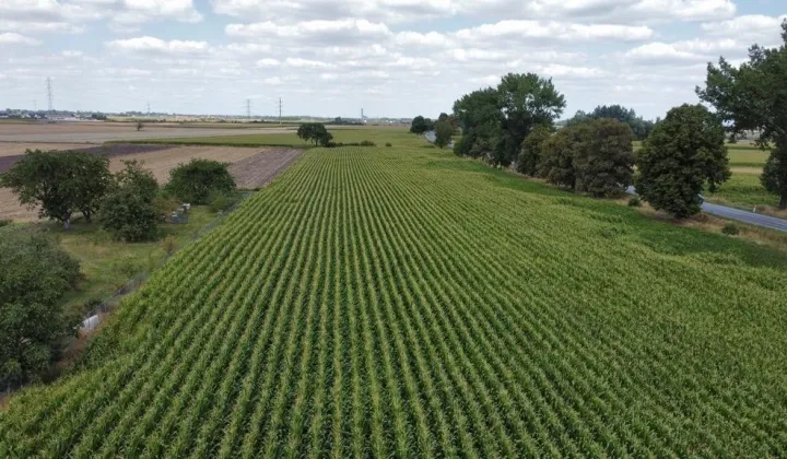 Działka inwestycyjna Turów