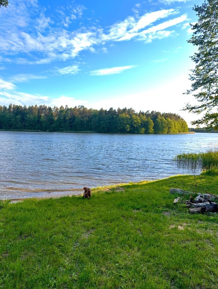 dom letniskowy Sołtmany. Zdjęcie 5