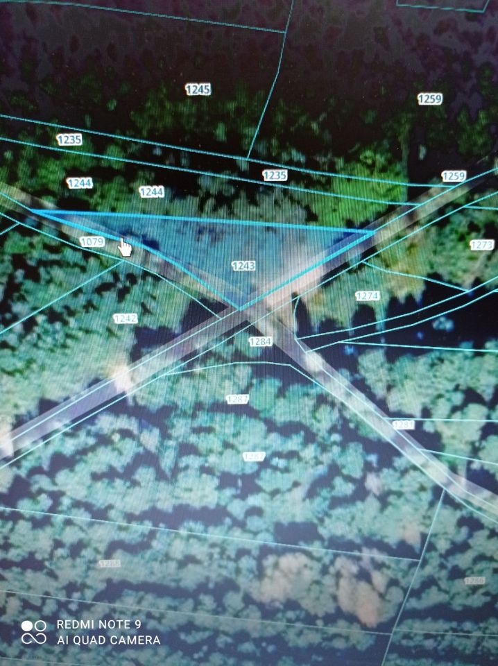 Działka leśna Żdżary. Zdjęcie 4